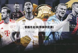 蔡振华足球(蔡振华比赛)