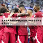 法国澳大利亚世界杯(法国澳大利亚世界杯小组赛2022)