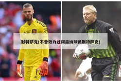 默特萨克(不曾效力过阿森纳球员默特萨克)