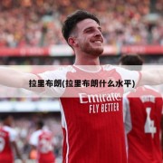 拉里布朗(拉里布朗什么水平)
