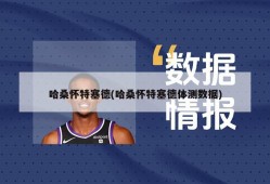 哈桑怀特塞德(哈桑怀特塞德体测数据)