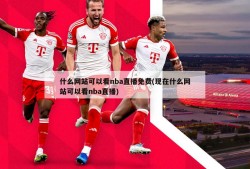 什么网站可以看nba直播免费(现在什么网站可以看nba直播)