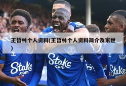 王哲林个人资料(王哲林个人资料简介及家世)