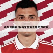 山东鲁能直播(山东鲁能直播免费观看)
