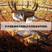 乒乓球直板教学视频(乒乓球直板初学视频)