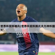 世界杯奖杯图片(世界杯奖杯图片大力神杯图片)