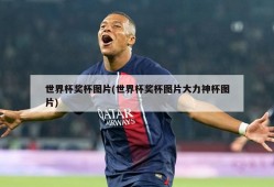 世界杯奖杯图片(世界杯奖杯图片大力神杯图片)