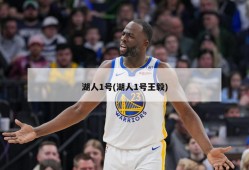 湖人1号(湖人1号王毅)
