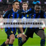 世界杯直播观看视频(世界杯直播央视)