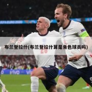 布兰登拉什(布兰登拉什算是角色球员吗)