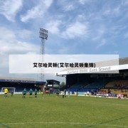 艾尔哈灵顿(艾尔哈灵顿集锦)