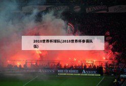 2018世界杯球队(2018世界杯参赛队伍)