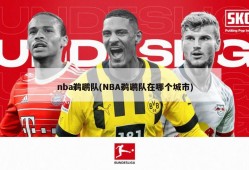 nba鹈鹕队(NBA鹈鹕队在哪个城市)