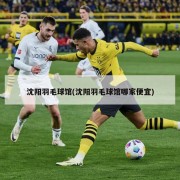 沈阳羽毛球馆(沈阳羽毛球馆哪家便宜)
