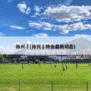 孙兴慜(孙兴慜转会最新动态)