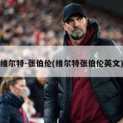维尔特-张伯伦(维尔特张伯伦英文)
