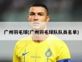 广州羽毛球(广州羽毛球队队员名单)