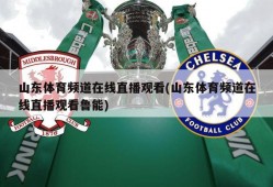 山东体育频道在线直播观看(山东体育频道在线直播观看鲁能)