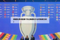 鹈鹕队原来是哪个队(鹈鹕队什么时候成立的)