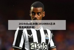 2014nba总决赛(2014NBA总决赛詹姆斯数据)