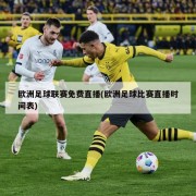欧洲足球联赛免费直播(欧洲足球比赛直播时间表)