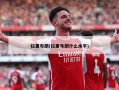 拉里布朗(拉里布朗什么水平)