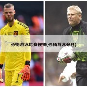 孙杨游泳比赛视频(孙杨游泳夺冠)