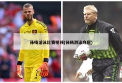 孙杨游泳比赛视频(孙杨游泳夺冠)