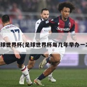 足球世界杯(足球世界杯每几年举办一次)