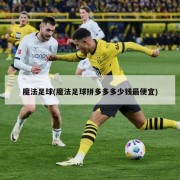 魔法足球(魔法足球拼多多多少钱最便宜)