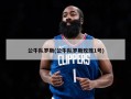 公牛队罗斯(公牛队罗斯玫瑰1号)