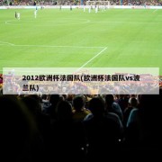 2012欧洲杯法国队(欧洲杯法国队vs波兰队)
