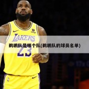 鹈鹕队是哪个队(鹈鹕队的球员名单)