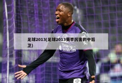 足球2013(足球2013赛季厉害的中后卫)