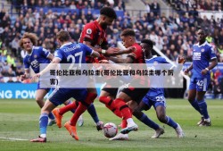 哥伦比亚和乌拉圭(哥伦比亚和乌拉圭哪个厉害)