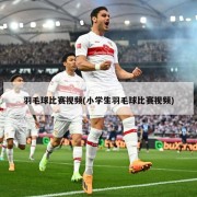 羽毛球比赛视频(小学生羽毛球比赛视频)