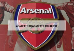 nba公牛王朝(nba公牛王朝经典比赛)
