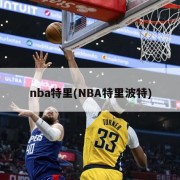 nba特里(NBA特里波特)