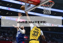 nba特里(NBA特里波特)