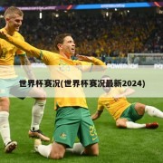 世界杯赛况(世界杯赛况最新2024)