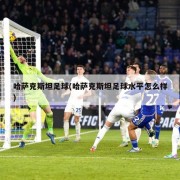 哈萨克斯坦足球(哈萨克斯坦足球水平怎么样)