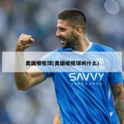 美国橄榄球(美国橄榄球叫什么)