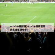 cctv5体育频道(cctv5体育频道高清直播免费观看)