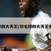 羽毛球四大天王(羽毛球四大天王争霸赛)