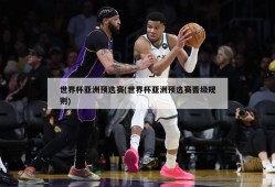 世界杯亚洲预选赛(世界杯亚洲预选赛晋级规则)