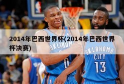 2014年巴西世界杯(2014年巴西世界杯决赛)