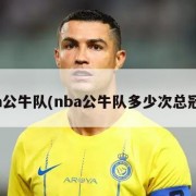 nba公牛队(nba公牛队多少次总冠军)
