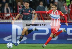 张大宇(巩晓彬张大宇)
