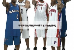 李宁牌羽毛球拍(李宁牌羽毛球拍的袋子)