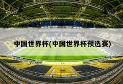 中国世界杯(中国世界杯预选赛)